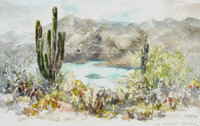 Lake Roosevelt 1