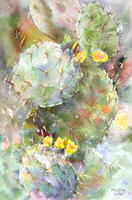 The Dry Blooming
