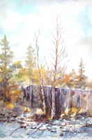 Winter 2